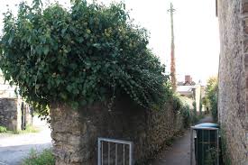 Image result for Woodmancote SMBC