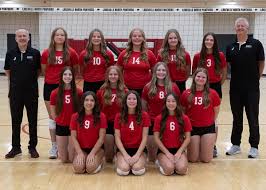Image result for Ellesmere Port Eels Volleyball Club