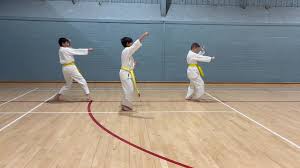 Image result for Woodley Karate Club