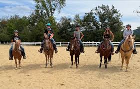 Image result for Lakes Riding Club