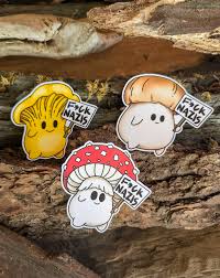 Attēlu rezultāti vaicājumam “Lycogala confusum young”