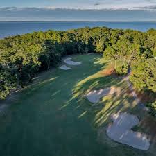 Image result for Dolphina Gc