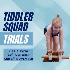 Image result for Wantage Gymnastics Club