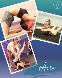 Image result for Elements Acro