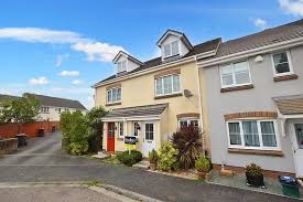 Image result for Newton Abbott Knights