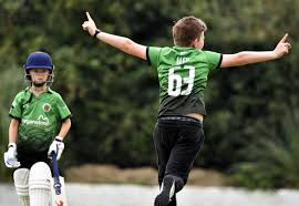 Image result for Ammanford Cricket Club