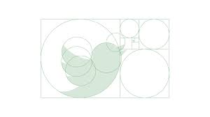 Image result for numero aureo