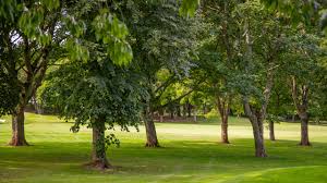 Image result for Torquay Golf Club Limited