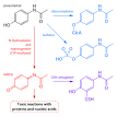 220px-Paracetamol_metabolism. ...