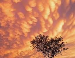 Attēlu rezultāti vaicājumam “Mammatus”