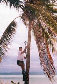 Image result for Parnassus Mountaineering Club, Sheffield