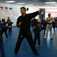 Image result for Vision Martial Arts