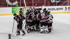 Image result for Adur Skater Hockey Club