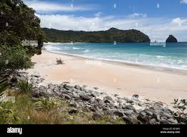 Image result for new chums beach