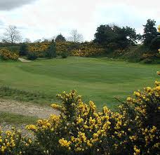 Image result for Bungay & Waveney Valley Golf Club