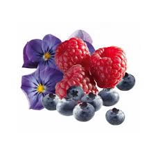 Image result for ごきぶりのピューレ