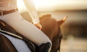 Image result for Lower Farm Stables