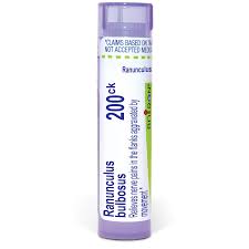 Attēlu rezultāti vaicājumam “Ranunculus bulbosus”