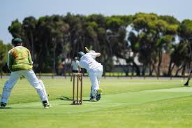 Image result for Thorpe Green Cricket Club