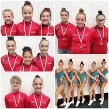 Image result for Basingstoke Gymnastics Club