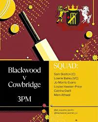 Image result for Blackwood Town Cricket Club