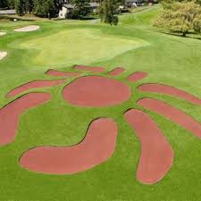 Image result for Cedars Badminton Club