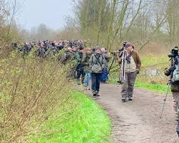 Image result for England Staffordshire Birding Club