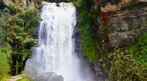 Image result for Cascada