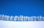 Snow-row.jpg
