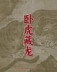 Image result for Hidden Dragon Karate-Do
