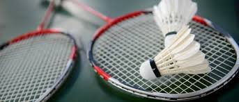 Image result for Reading Ladies Summer Badminton Club