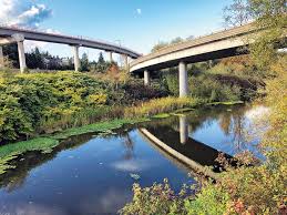 Image result for Slough