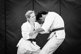 Image result for Abbey Shorinji Kempo Dojo