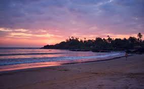 Image result for patnem beach