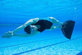 Image result for Discover Swimming