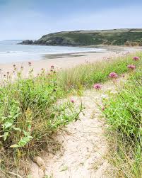 Image result for Praa Sands Smbc