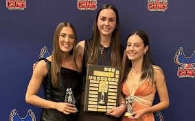 Image result for Whitton Netball Club