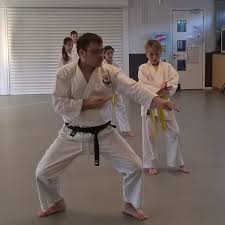 Image result for Thatcham Wado Karate Club