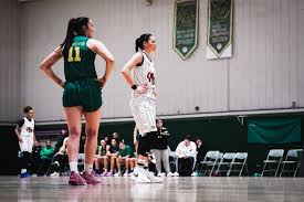 Image result for Nottingham Wildcats