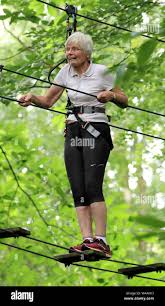 Image result for Go Ape! Leeds Castle