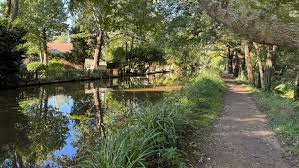 Image result for Weybridge Angling