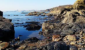 Image result for Plymouth Sound