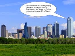 Image result for dallas texas buildings