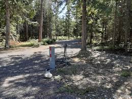 Image result for Forest (Sale) Badminton Club