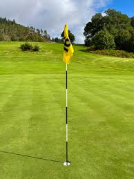 Image result for Aberfoyle Golf Club