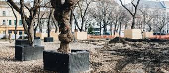 Image result for klauzál tér budapest