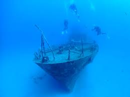 Image result for Meadurst Sub-Aqua Club