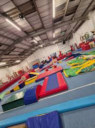 Image result for Flyin Scots Aerobic Gymnastics Club