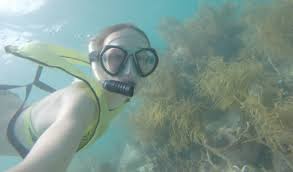 Image result for Stalybridge Snorkel Club