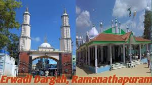 Image result for Erwadi